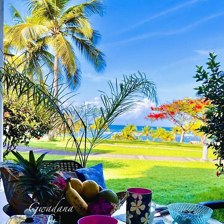 Acces Direct Plage, Vue Mer D'Exception, Les Gwada Studios, Village Vacances Sainte-Anne  Ngoại thất bức ảnh