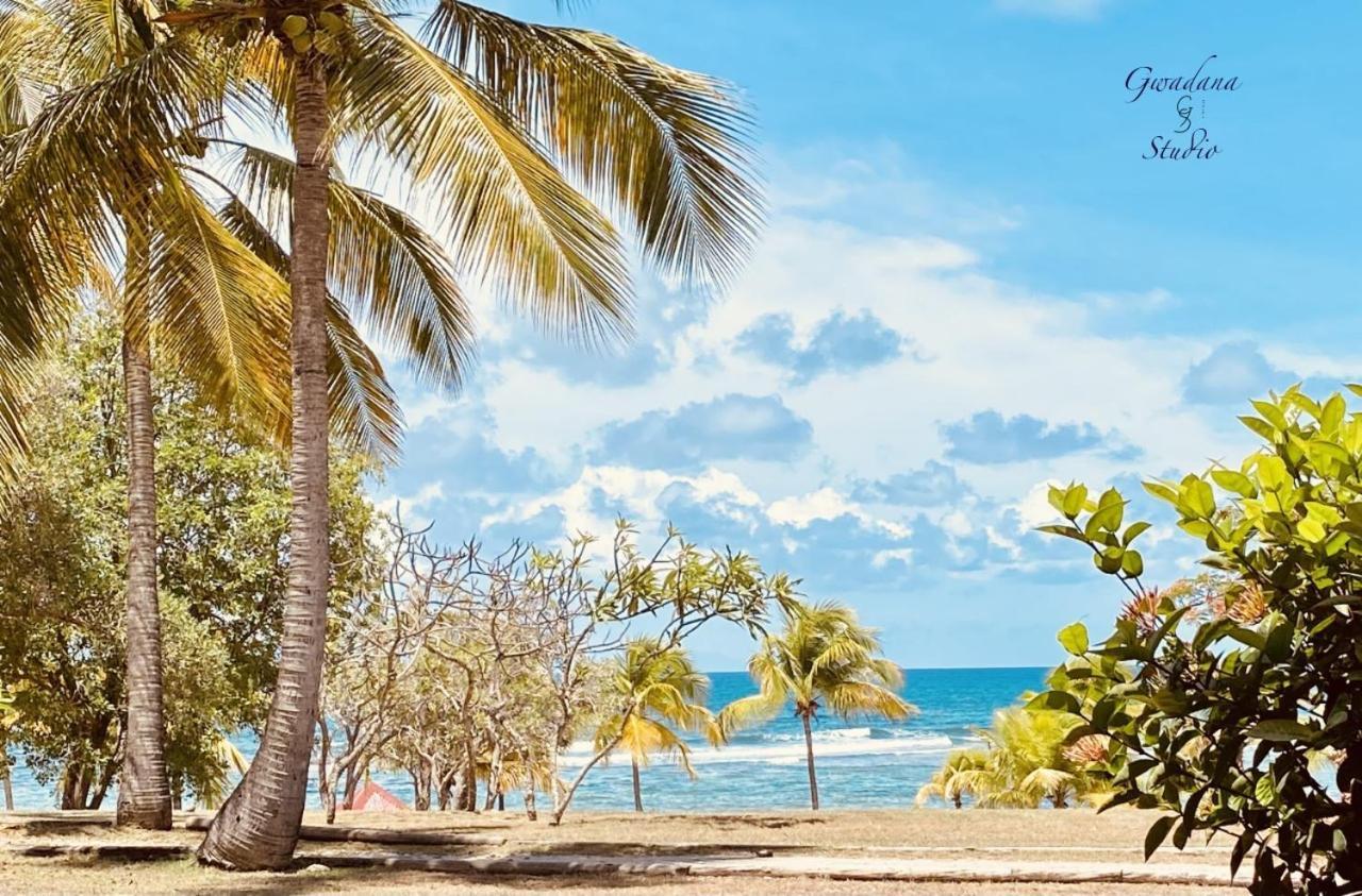 Acces Direct Plage, Vue Mer D'Exception, Les Gwada Studios, Village Vacances Sainte-Anne  Ngoại thất bức ảnh