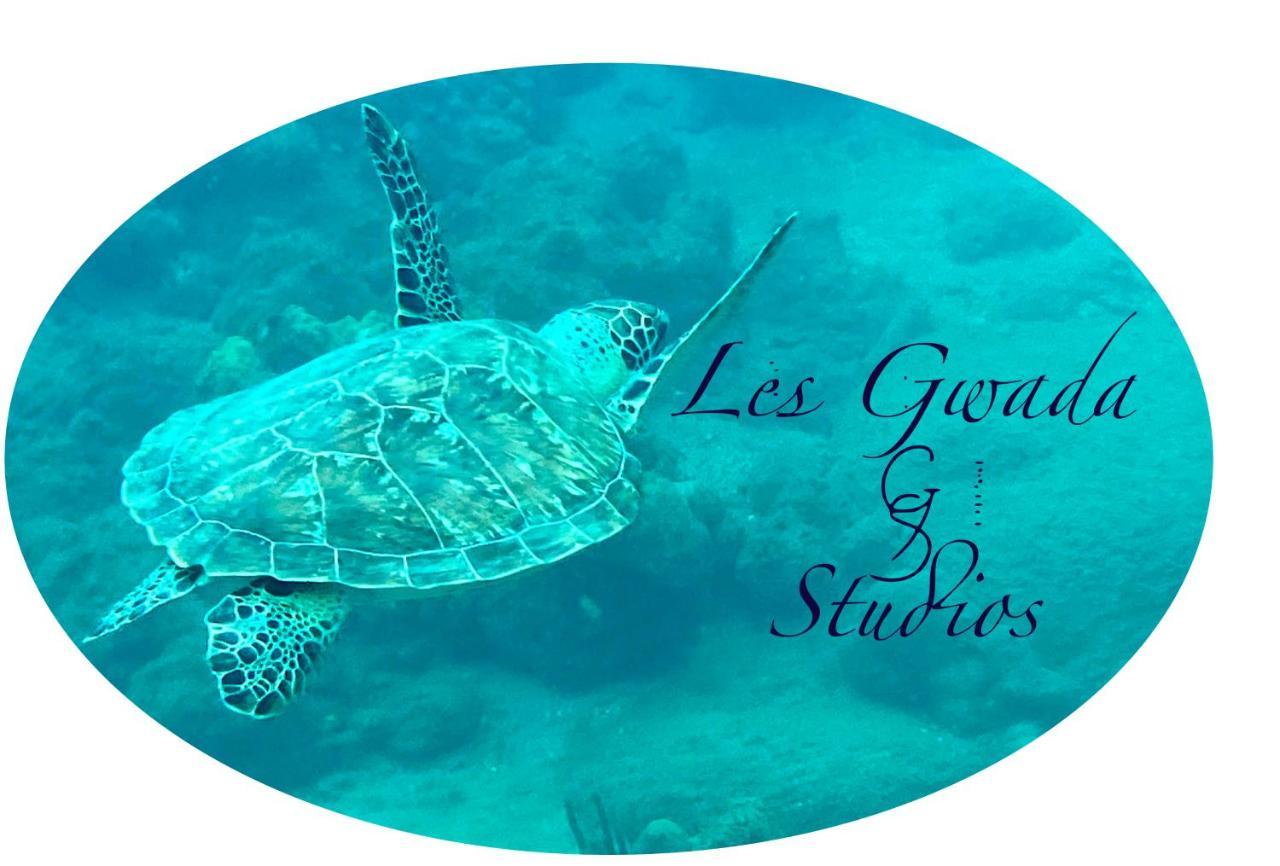 Acces Direct Plage, Vue Mer D'Exception, Les Gwada Studios, Village Vacances Sainte-Anne  Ngoại thất bức ảnh