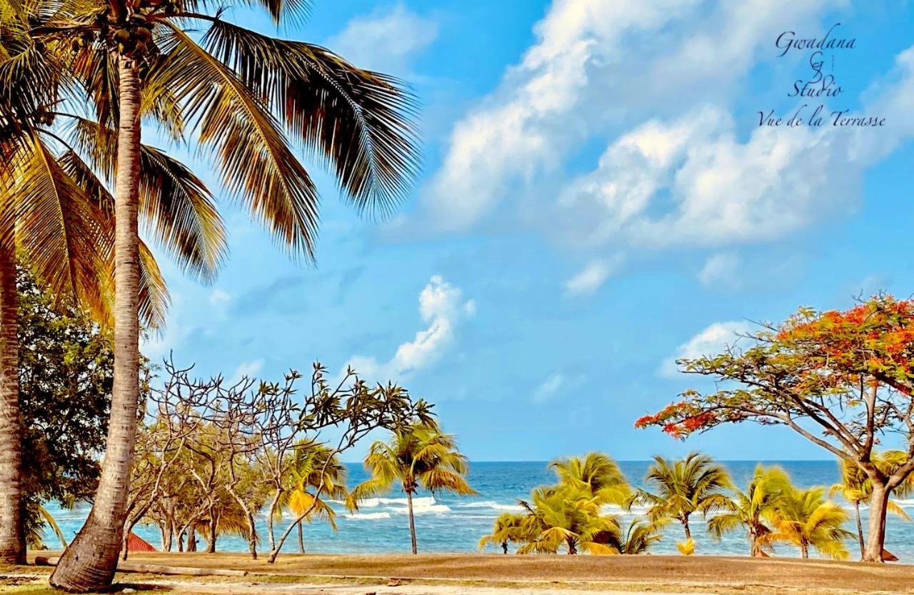 Acces Direct Plage, Vue Mer D'Exception, Les Gwada Studios, Village Vacances Sainte-Anne  Ngoại thất bức ảnh