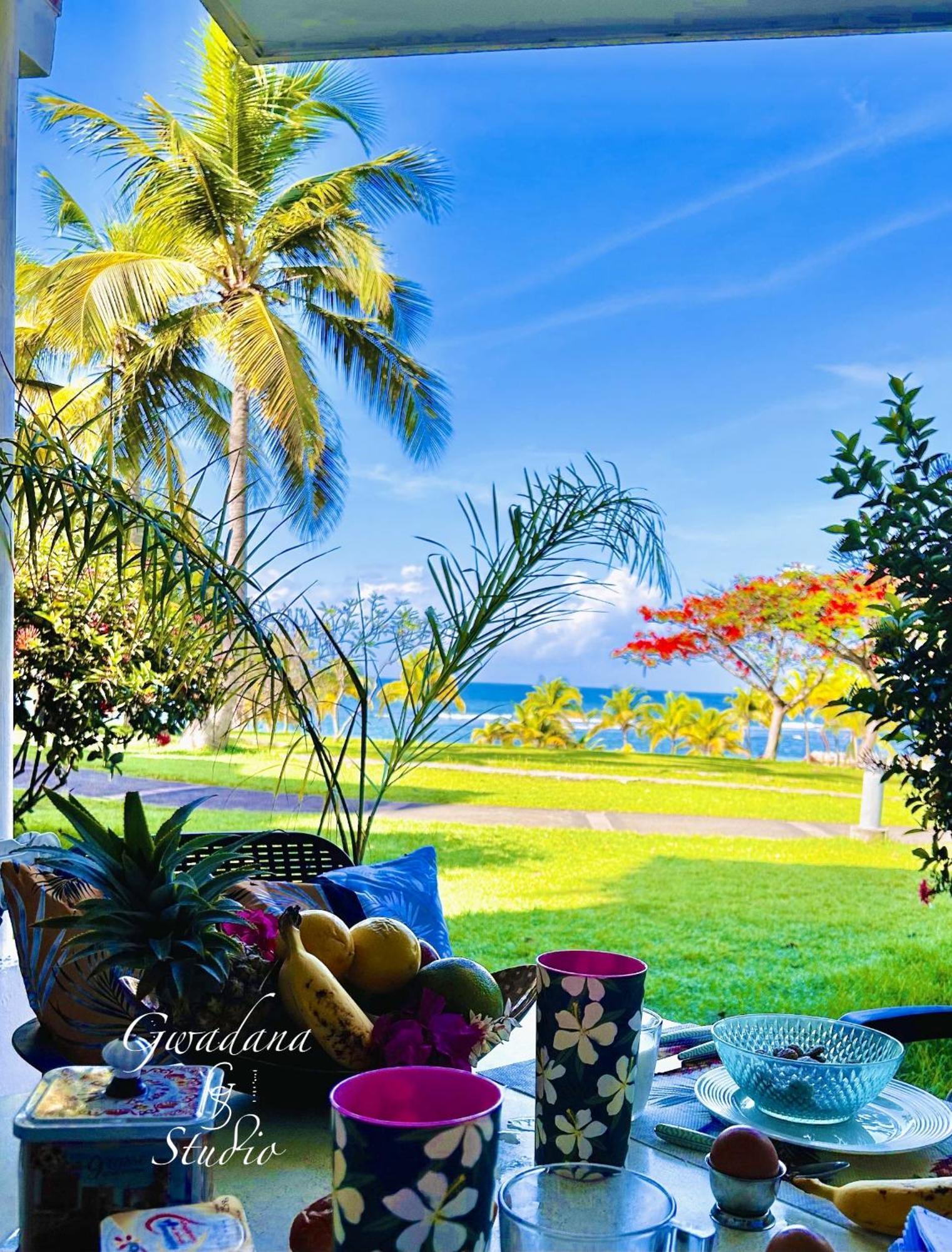 Acces Direct Plage, Vue Mer D'Exception, Les Gwada Studios, Village Vacances Sainte-Anne  Ngoại thất bức ảnh